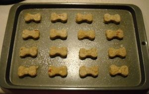 apple-dog-treats