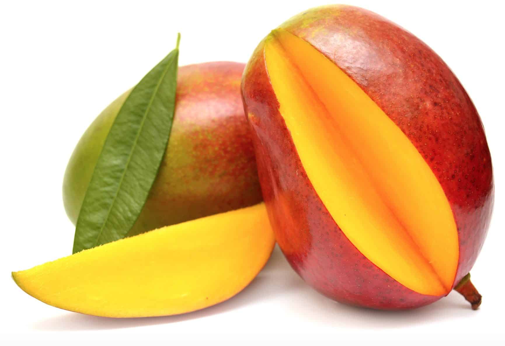 Mangoes are super dog foods that provide a plethora of health benefits for dogs.
