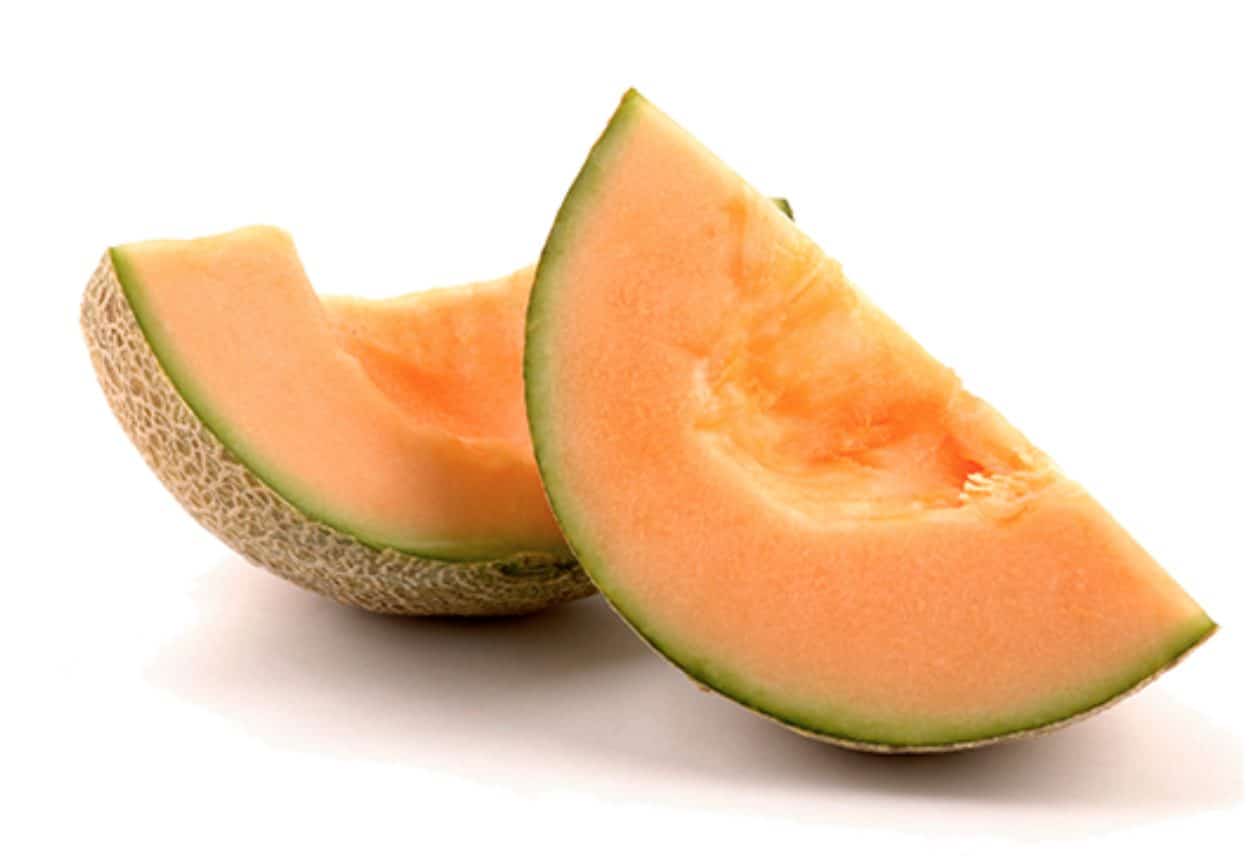 Feeding your dog cantaloupes can provide them with a lot of great health benefits.