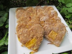 Perfect mango chicken treats ready for your dog to enjoy.
