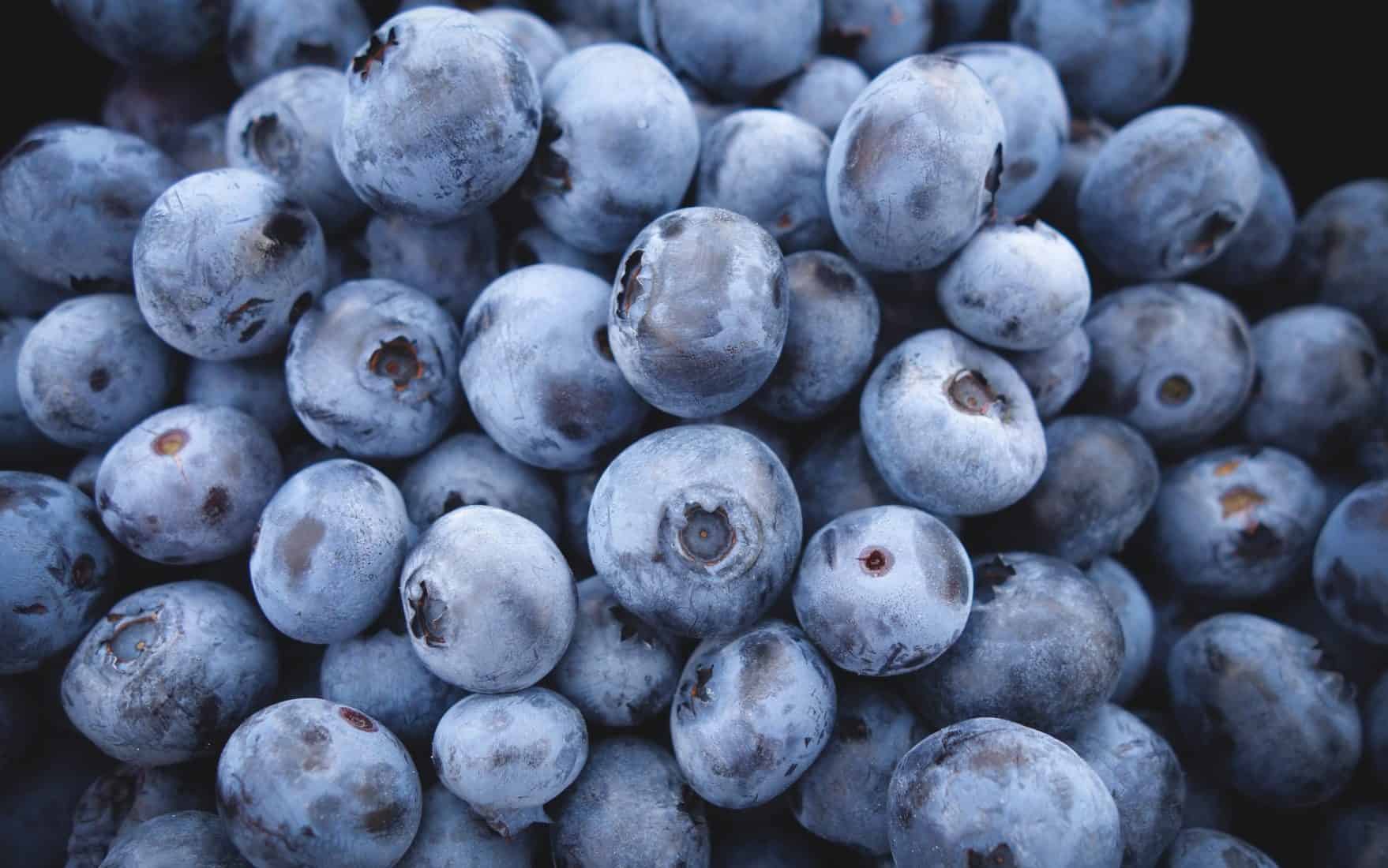 Dog owners should be cautious, as side effects may occurs from dogs eating blueberries.