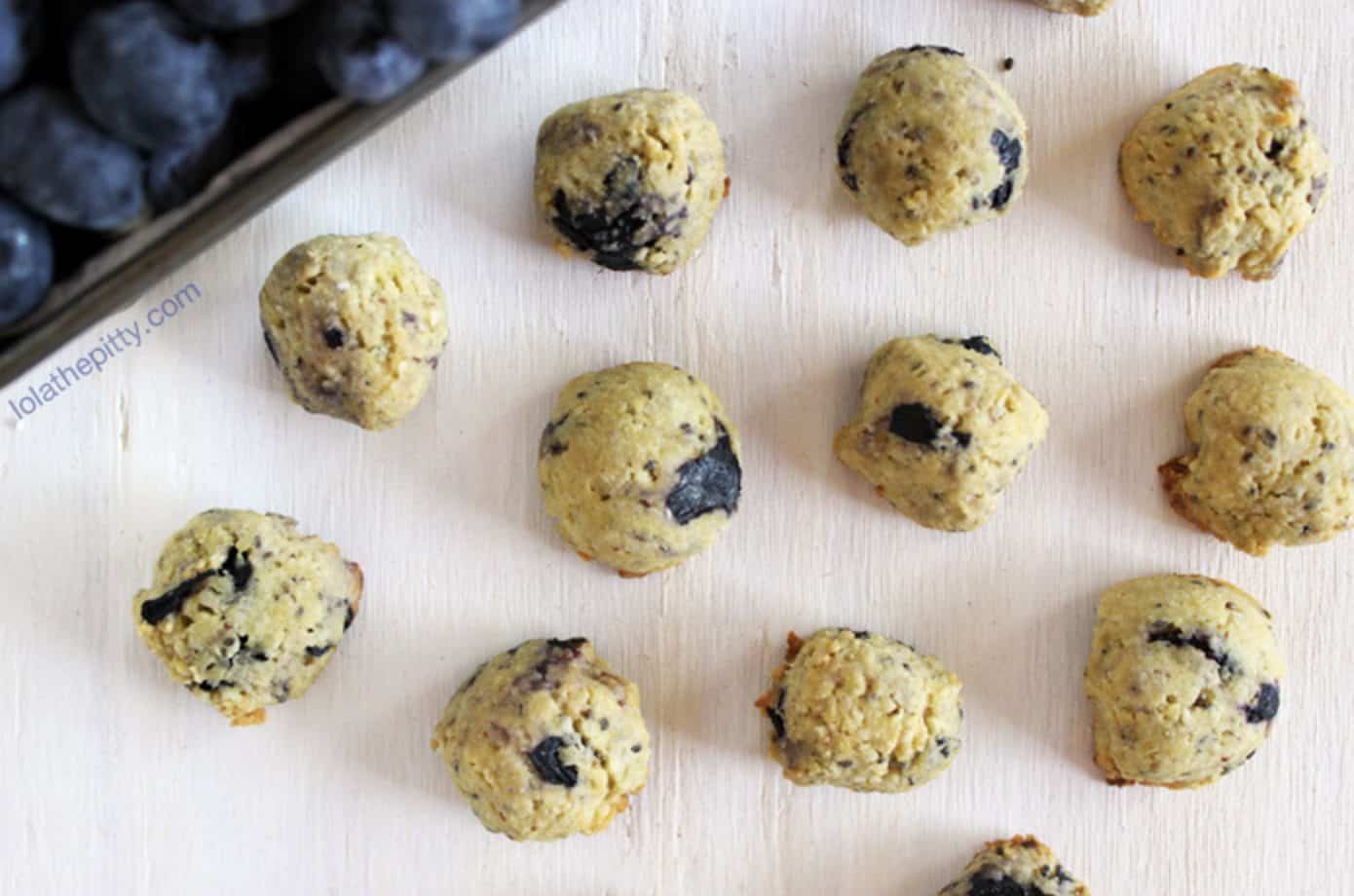 Delicious and healthy blueberry treats for dogs!