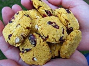 Dogs can eat cherry treats, if the baked goods are safe for dogs.