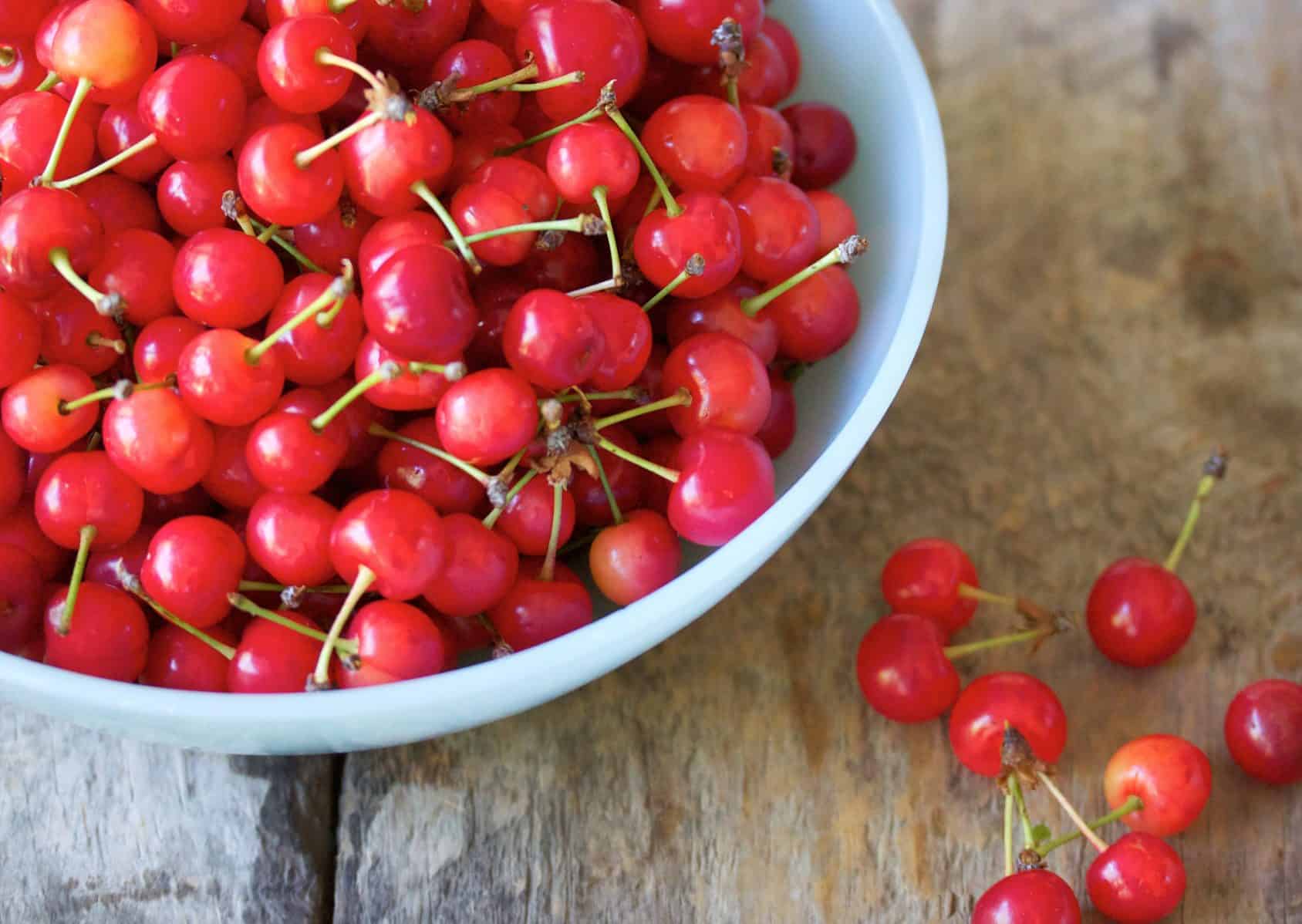 If dogs eat too much cherry, they may have negative side effects.