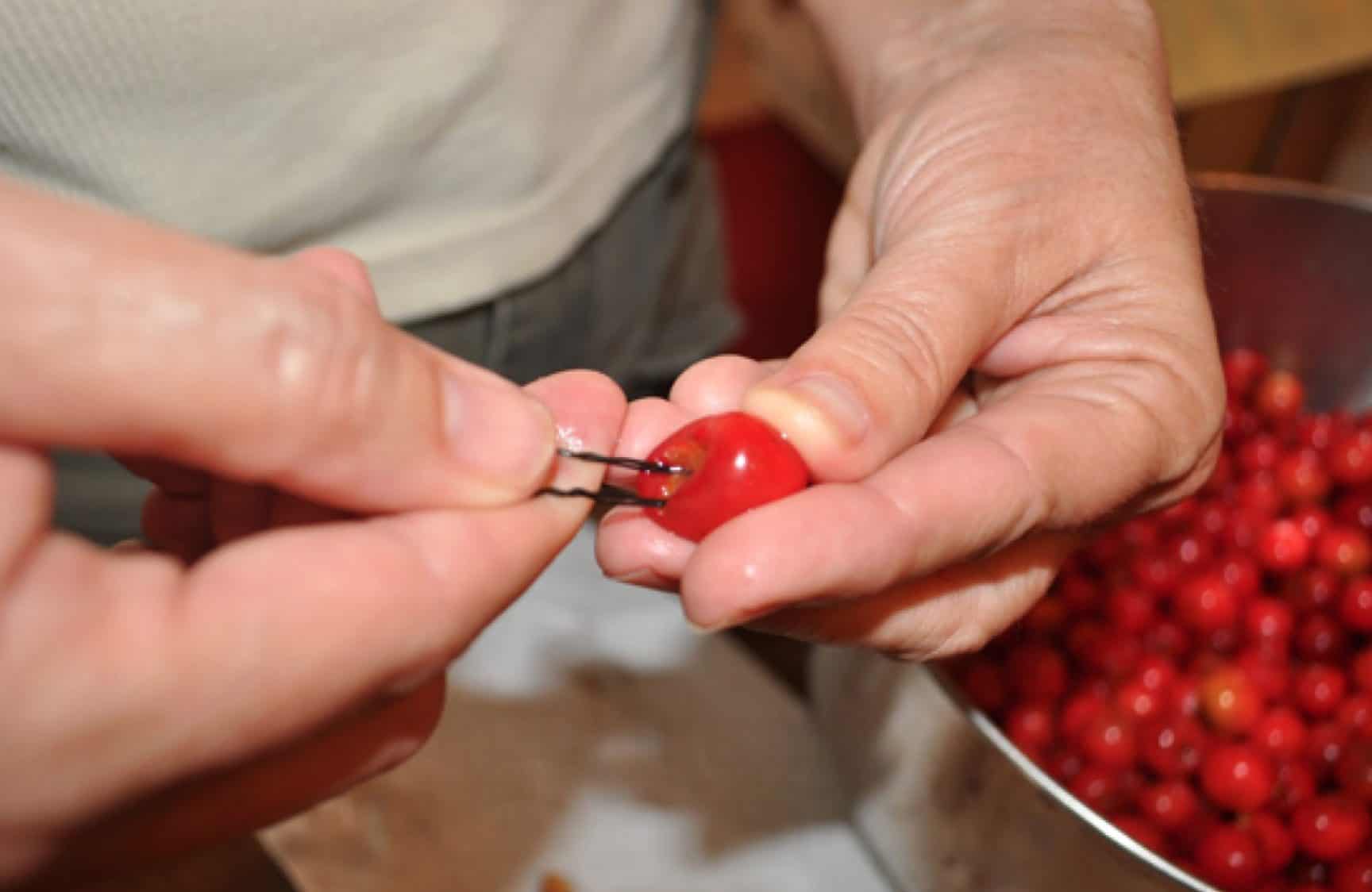 Cherries need preparation before dogs can eat them.