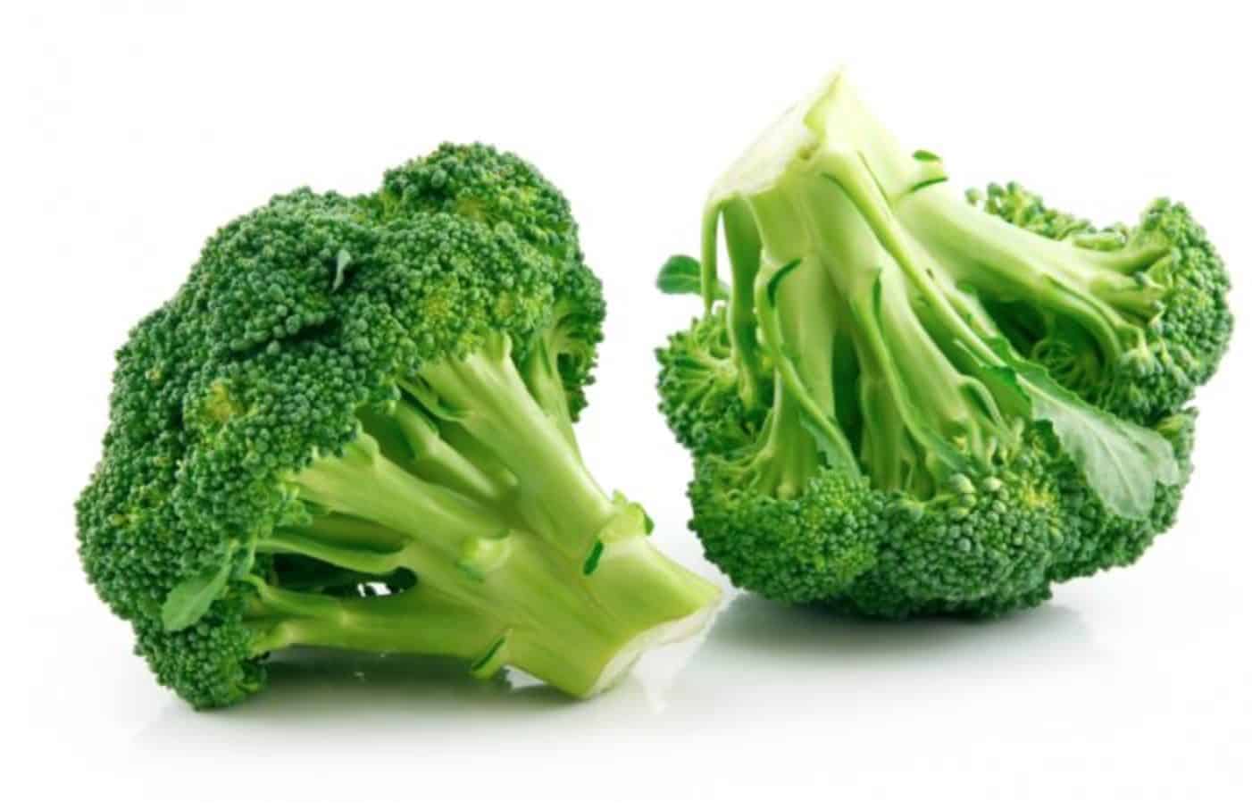If you feed your dog broccoli, they may experience several amazing health benefits.