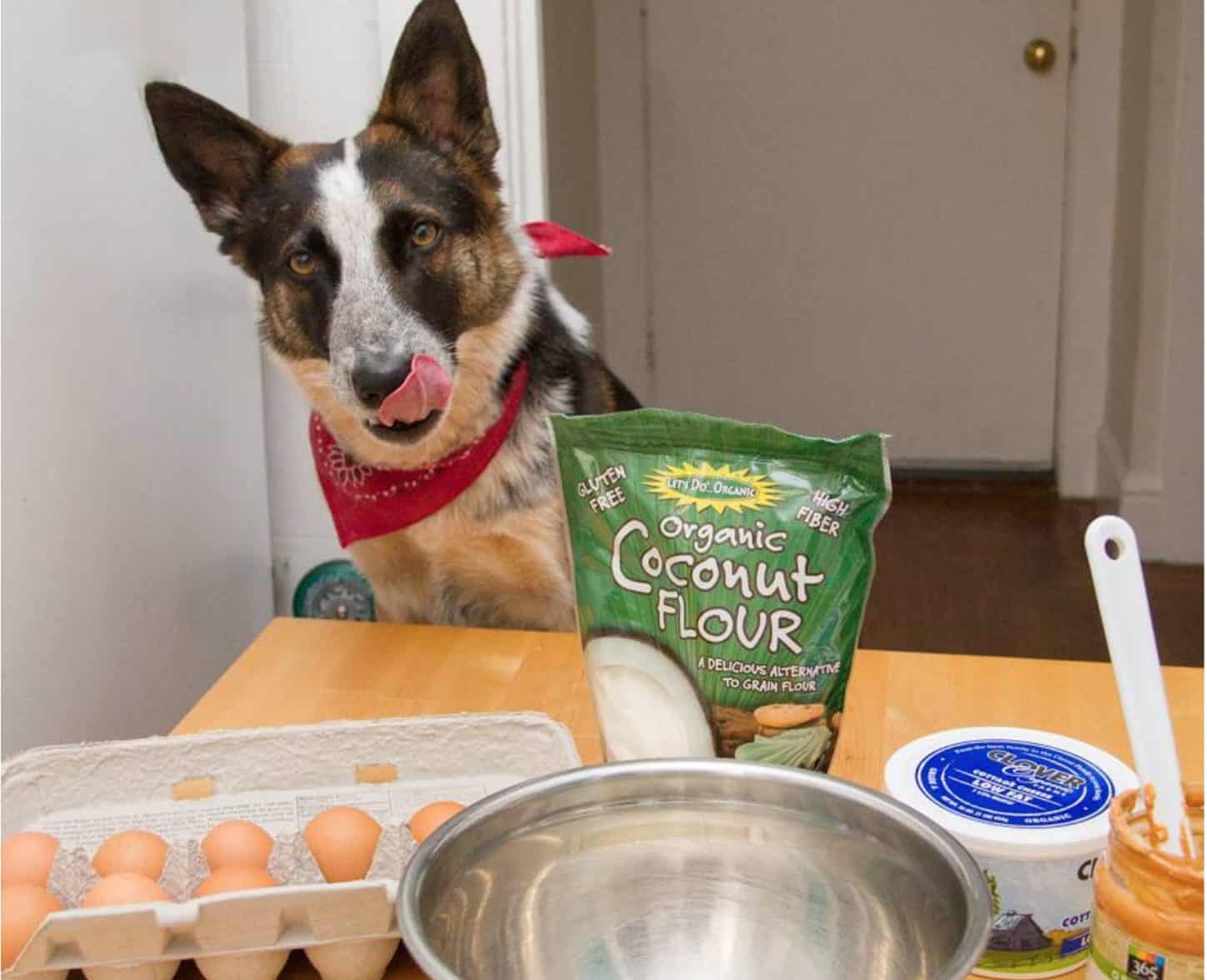 Feeding dogs eggs can provide a plethora of great health benefits.
