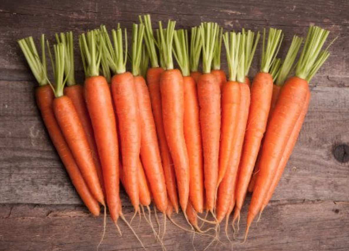 Carrots can provide your dog with a ton of health benefits, most notably better vision.