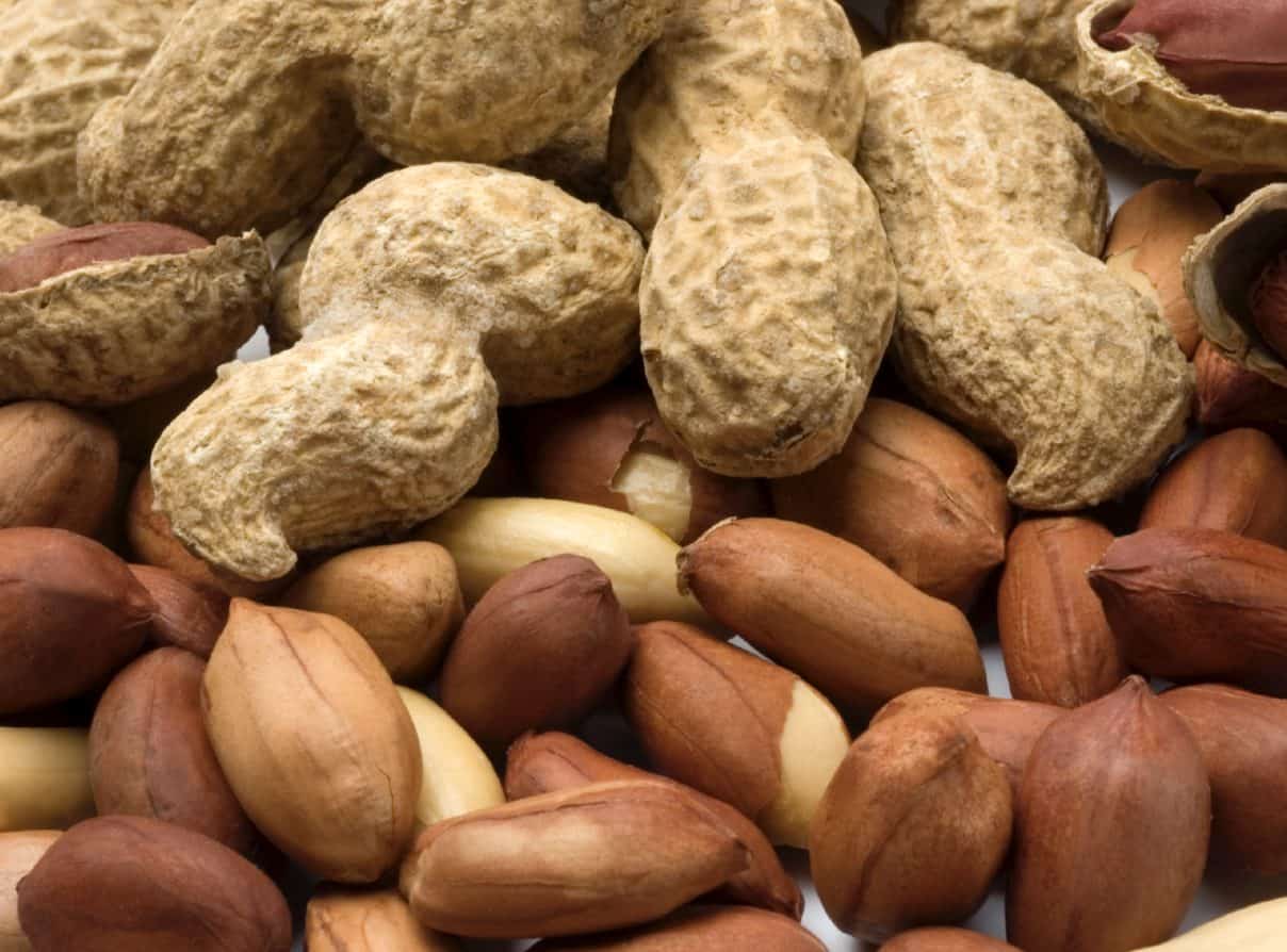 There are many risks and ride effects that may arise when your dog eats peanuts.