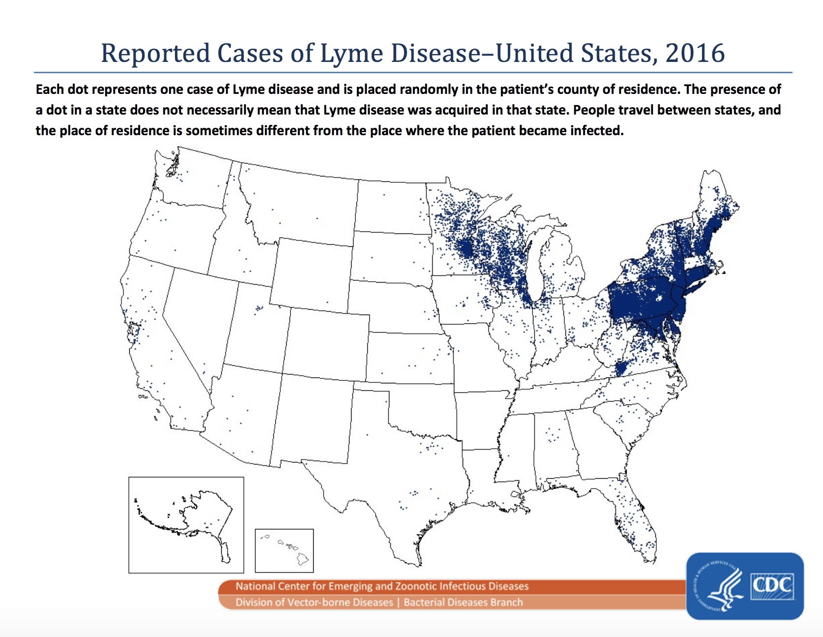 states that dogs have a high risk of tick bites and lyme disease