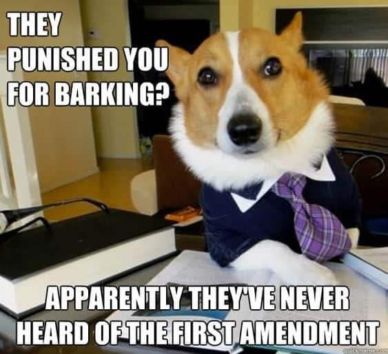 First Amendment says that all corgis should bark as they please.