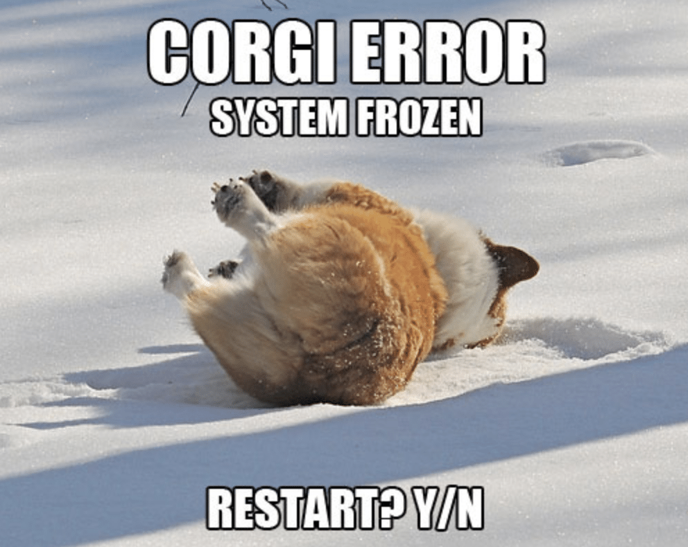 What's wrong with this corgi?