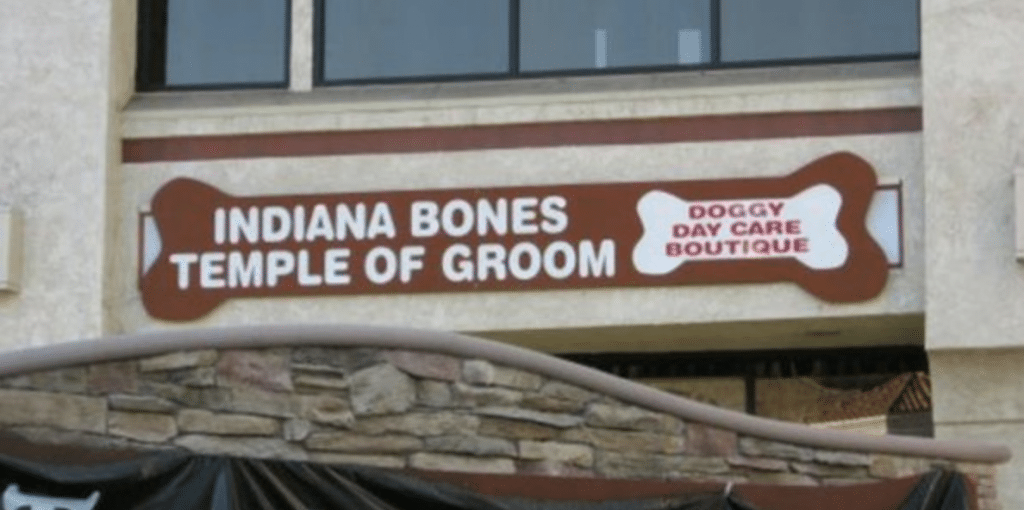 Indiana Bones and the Temple of Groom - Dog Grooming