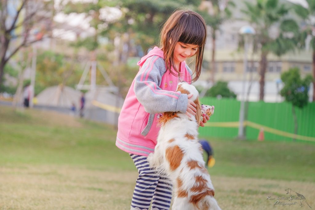 Hypoallergenic dog breeds will be the savior of ultra-sensitive dog owners.