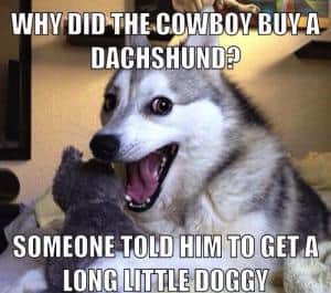 Why did the cowboy buy a dachshund? 