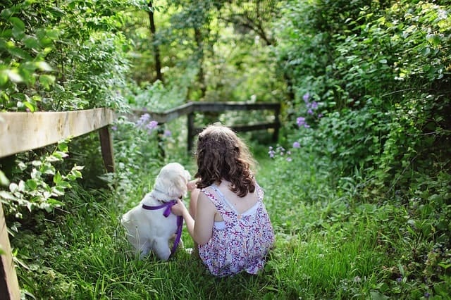 Golden Retrievers are fantastic play mates for small children, though you should still supervise.