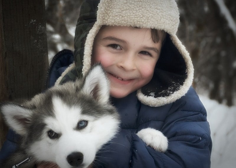 A parent's guide to raising kids with Siberian Huskies.