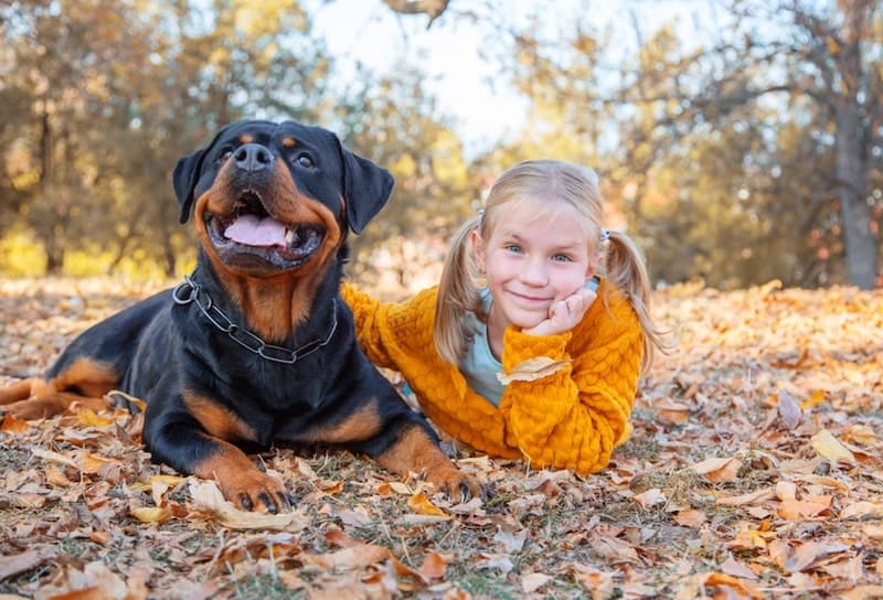 A loving Rottweiler playing with a kid in the park.
