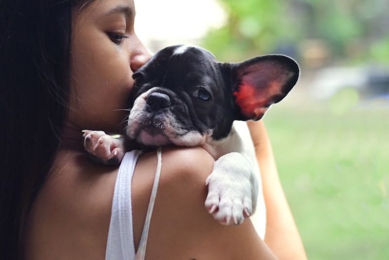 A French Bulldog embraced by a kid.