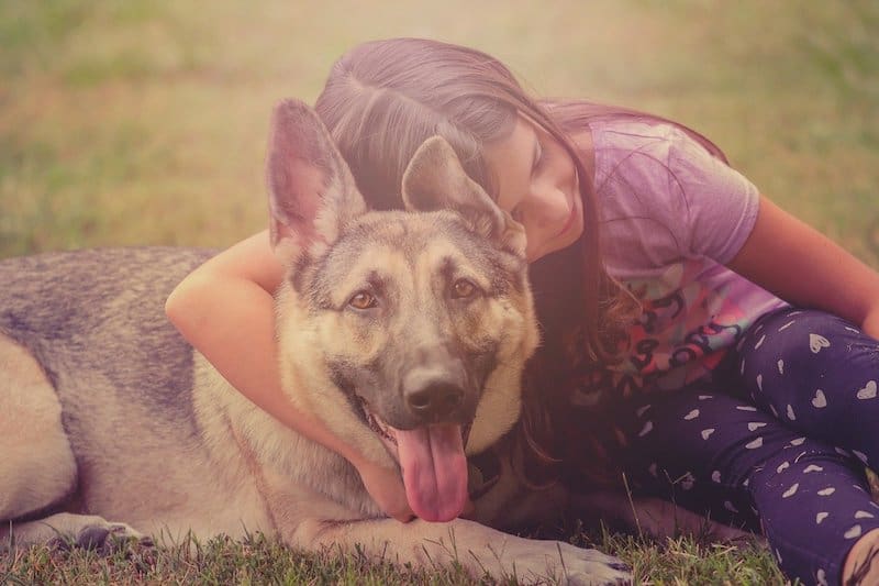A child playing with her German Shepherd.