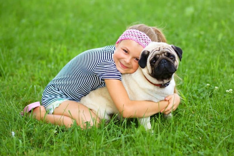 A child with her Pug.